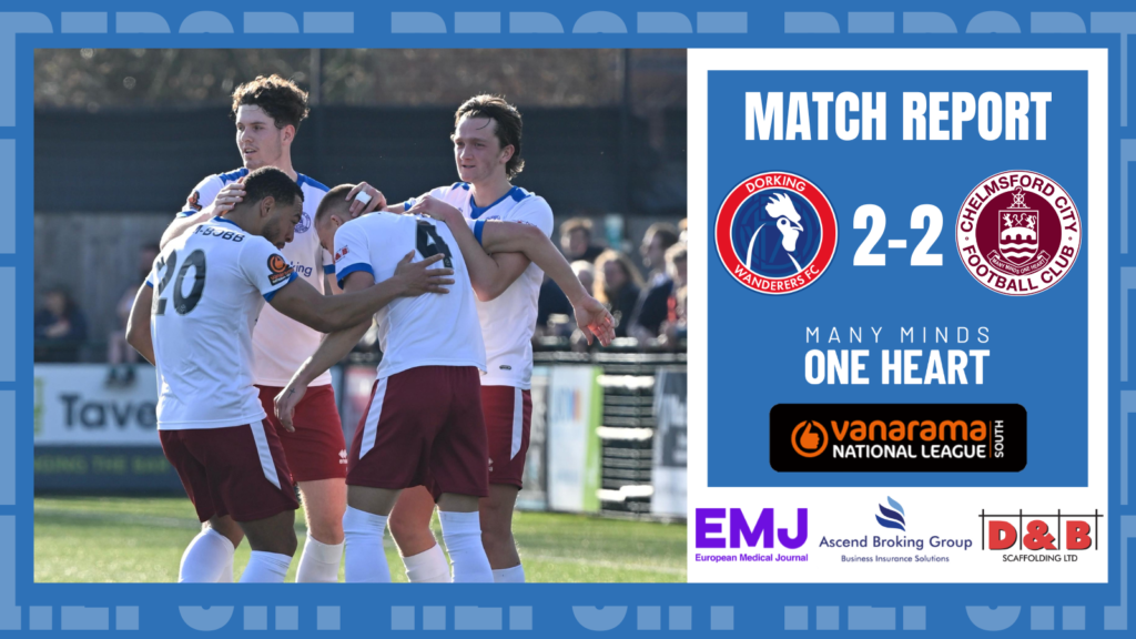 Website Preview and Website Match Report (2)