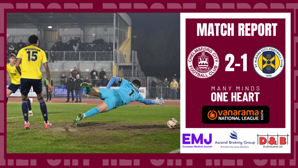 Website Preview and Website Match Report